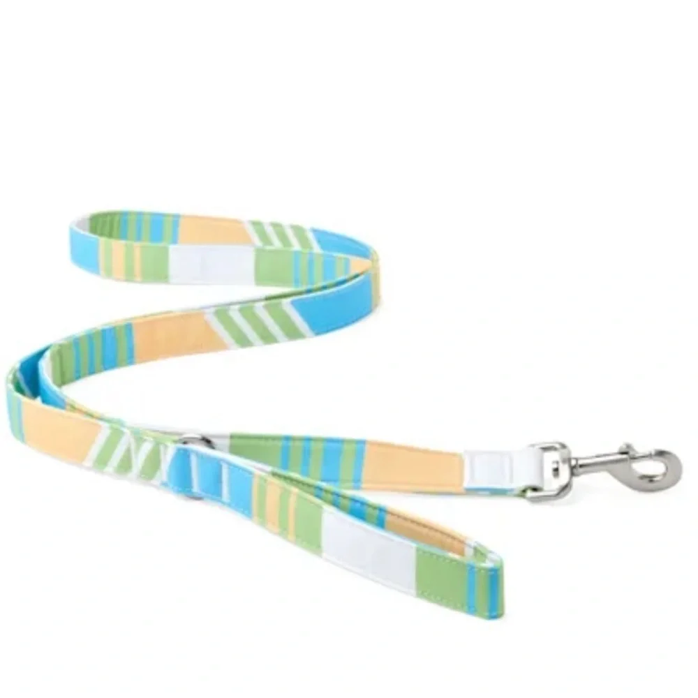 NWT Youly champion striped 6ft dog lead leash